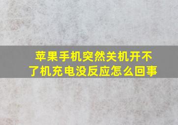 苹果手机突然关机开不了机充电没反应怎么回事