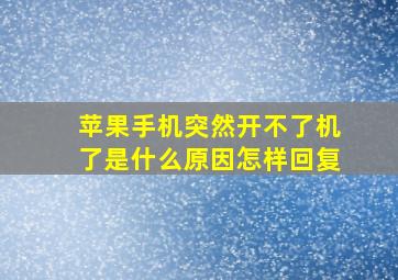 苹果手机突然开不了机了是什么原因怎样回复