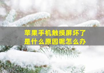 苹果手机触摸屏坏了是什么原因呢怎么办