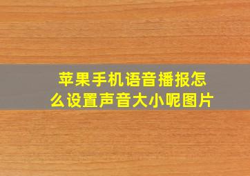 苹果手机语音播报怎么设置声音大小呢图片