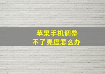 苹果手机调整不了亮度怎么办