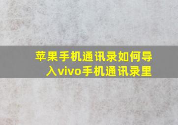 苹果手机通讯录如何导入vivo手机通讯录里