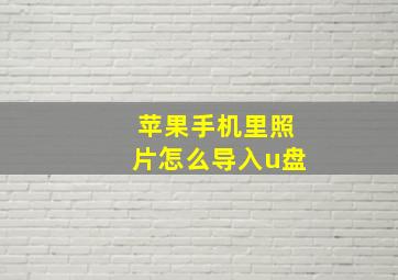 苹果手机里照片怎么导入u盘