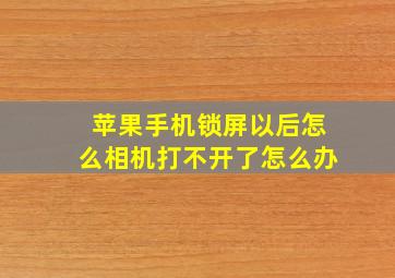 苹果手机锁屏以后怎么相机打不开了怎么办