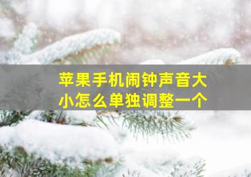 苹果手机闹钟声音大小怎么单独调整一个