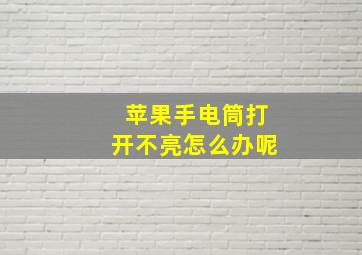 苹果手电筒打开不亮怎么办呢