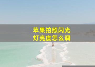 苹果拍照闪光灯亮度怎么调