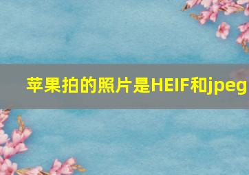 苹果拍的照片是HEIF和jpeg