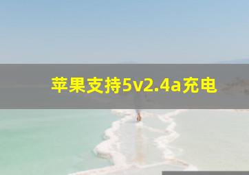 苹果支持5v2.4a充电