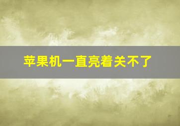 苹果机一直亮着关不了