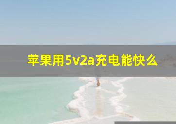 苹果用5v2a充电能快么