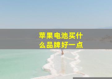 苹果电池买什么品牌好一点