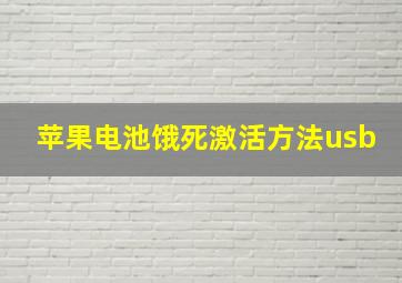 苹果电池饿死激活方法usb