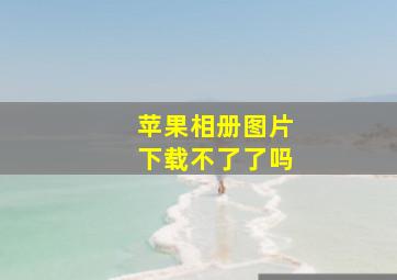 苹果相册图片下载不了了吗