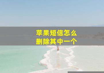 苹果短信怎么删除其中一个