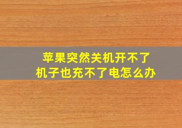 苹果突然关机开不了机子也充不了电怎么办