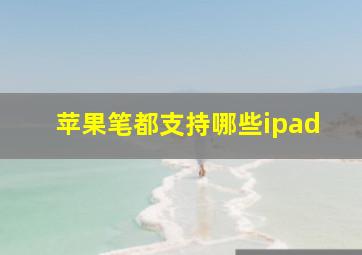 苹果笔都支持哪些ipad