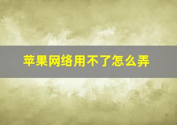 苹果网络用不了怎么弄