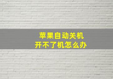 苹果自动关机开不了机怎么办