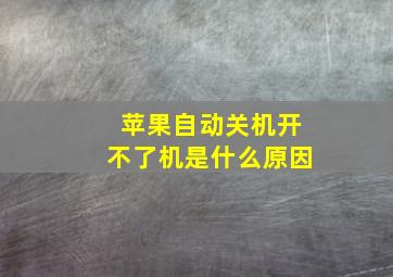 苹果自动关机开不了机是什么原因