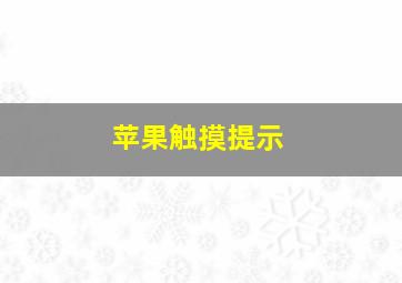 苹果触摸提示