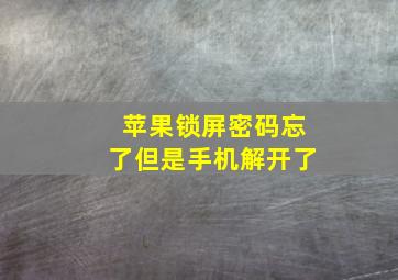 苹果锁屏密码忘了但是手机解开了