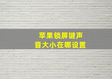 苹果锁屏键声音大小在哪设置