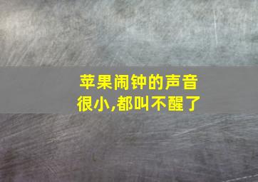 苹果闹钟的声音很小,都叫不醒了