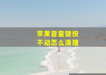 苹果音量键按不动怎么清理