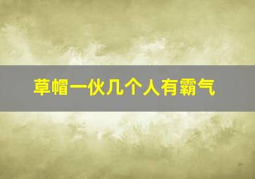 草帽一伙几个人有霸气