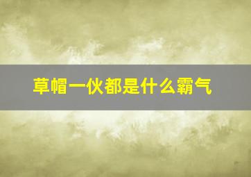 草帽一伙都是什么霸气