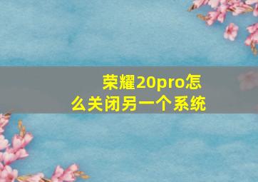 荣耀20pro怎么关闭另一个系统