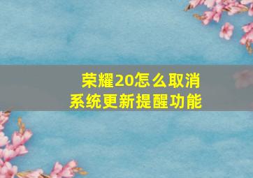 荣耀20怎么取消系统更新提醒功能