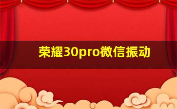 荣耀30pro微信振动