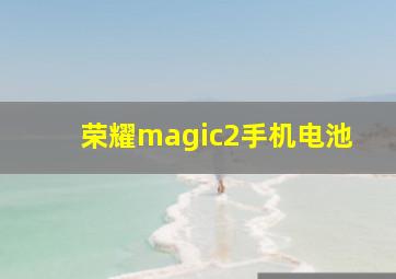 荣耀magic2手机电池