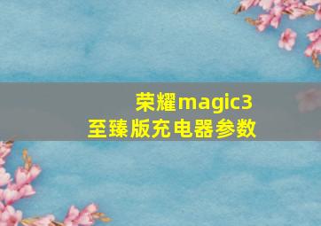 荣耀magic3至臻版充电器参数