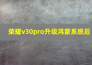 荣耀v30pro升级鸿蒙系统后