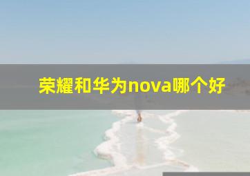 荣耀和华为nova哪个好