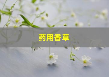 药用香草