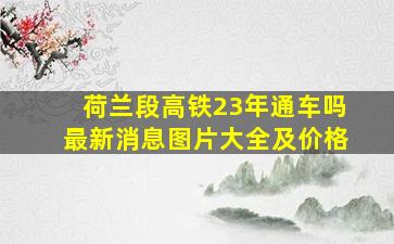 荷兰段高铁23年通车吗最新消息图片大全及价格