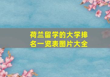 荷兰留学的大学排名一览表图片大全