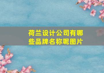 荷兰设计公司有哪些品牌名称呢图片