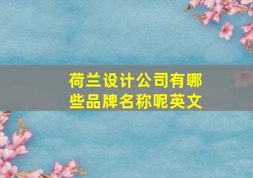 荷兰设计公司有哪些品牌名称呢英文