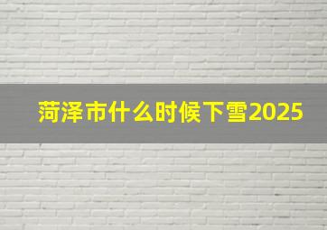 菏泽市什么时候下雪2025