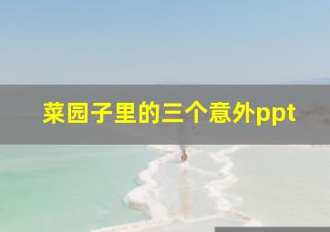 菜园子里的三个意外ppt