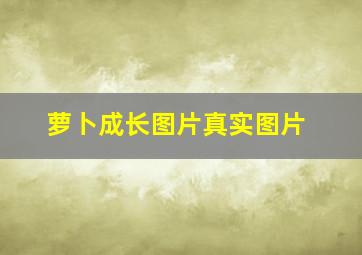 萝卜成长图片真实图片