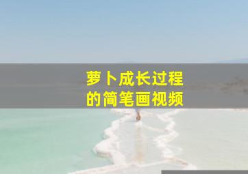 萝卜成长过程的简笔画视频