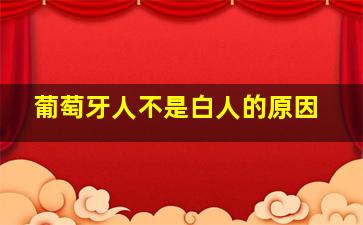 葡萄牙人不是白人的原因