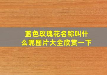 蓝色玫瑰花名称叫什么呢图片大全欣赏一下