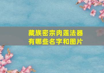 藏族密宗肉莲法器有哪些名字和图片